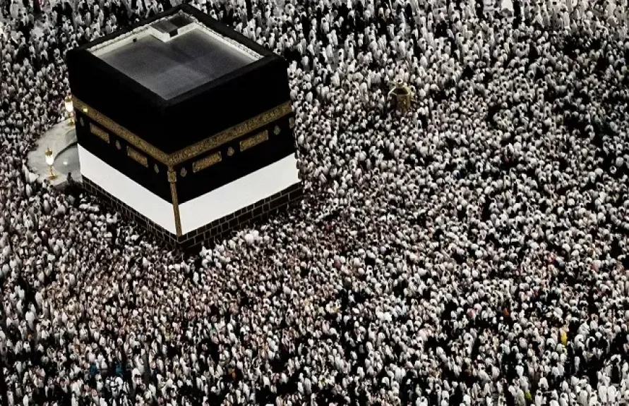 استقبال حافل وهدايا لحجاج ”التضامن” في المدينة المنورة.. صور