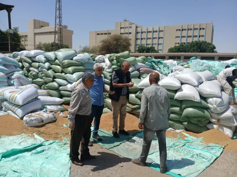 محافظ أسيوط يؤكد أهمية تقديم الإرشاد الزراعي ومتابعة المحاصيل