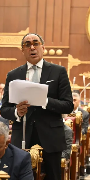 هاني سري الدين: مشاركة القطاع الخاص ضعيفة والتنمية المستدامة في خطر دون إصلاح مؤسسي