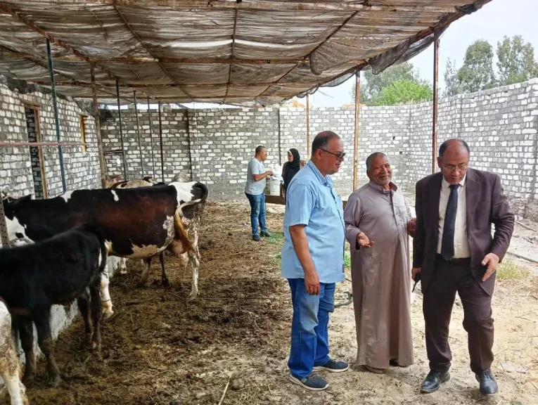 وكيل زراعة البحيرة يتفقد مزارع الثروة الحيوانية لصغار المربين بحوش عيسى