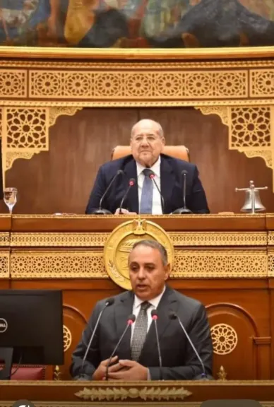مشكلات تطبيقات النقل الذكية في طلب إحاطة جديد للنائبة أمل سلامة