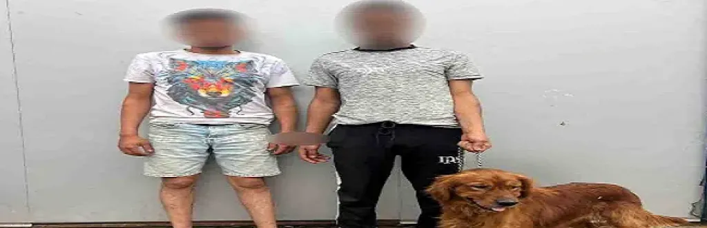 بسبب خلافات مالية.. ضبط شخصين احتجزا شابًّا وهدداه بـ «كلب شرس» في السلام