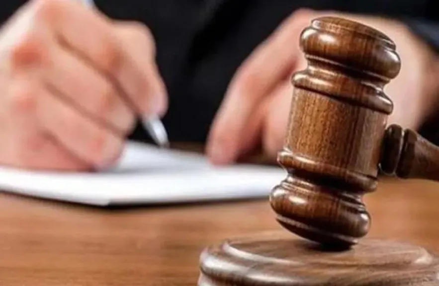 أولى جلسات محاكمة مالك ”كلب بيتبول” قتل آخر في المنيل.. اليوم