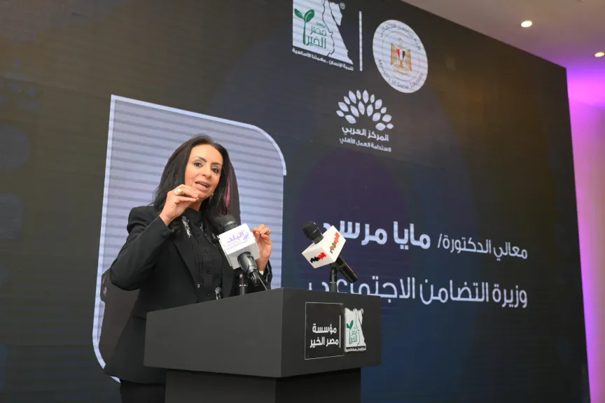 وزير الاستثمار يبحث مع غرف التجارة العربية في ألمانيا فرص تعزيز التعاون الاقتصادي والاستثماري