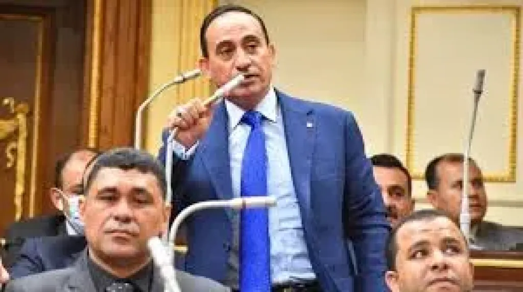 النائب محمد زين الدين: توجيهات الرئيس للحكومة بموسم حصاد القمح ”مهمة”