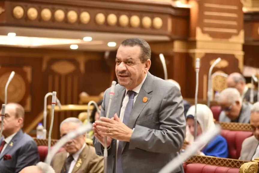 رئيس زراعة الشيوخ: توجيهات الرئيس خلال موسم حصاد القمح تحقق الأمن الغذائي
