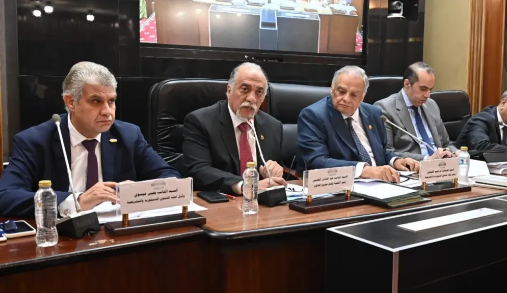 الهنيدي: تعديل تقسيم الدوائر الانتخابية ضرورة دستورية لضمان عدالة التمثيل النيابي
