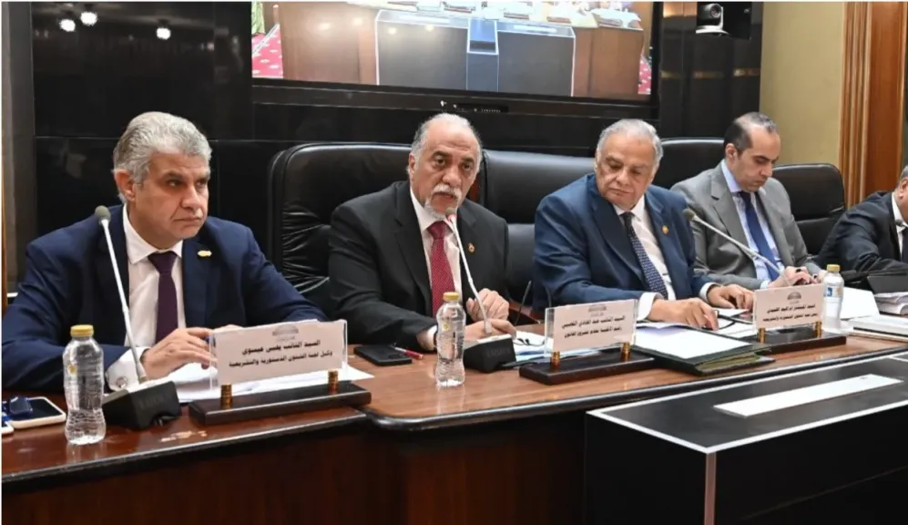 المستشار محمود فوزى: دستور 2014 إنحاز لحق الانتخابات والقيد التلقائى لمن يبلغ السن القانونى