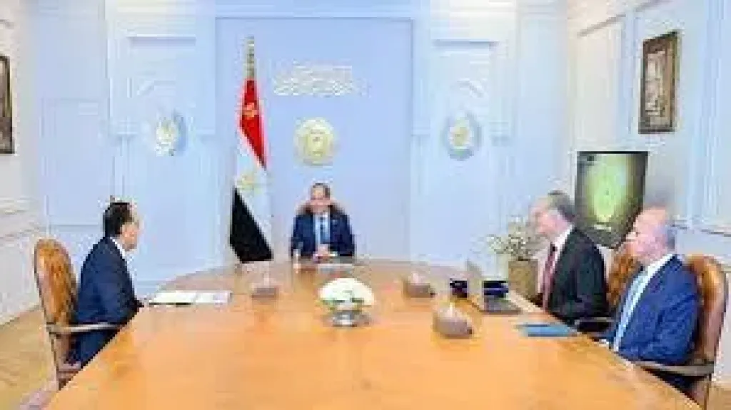 الرئيس السيسى يوجه بمحاسبة المتسببين فى ”مشكلة البنزين”.. إنفوجراف