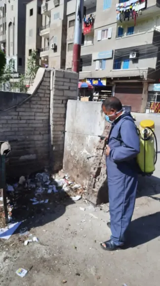 حملة مكبرة لمكافحة ناقلات الأمراض بصحة الشرقية