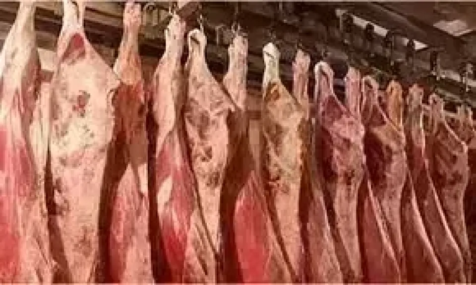 تعرف على أسعار اللحوم الحمراء اليوم الأربعاء 4 يونيو