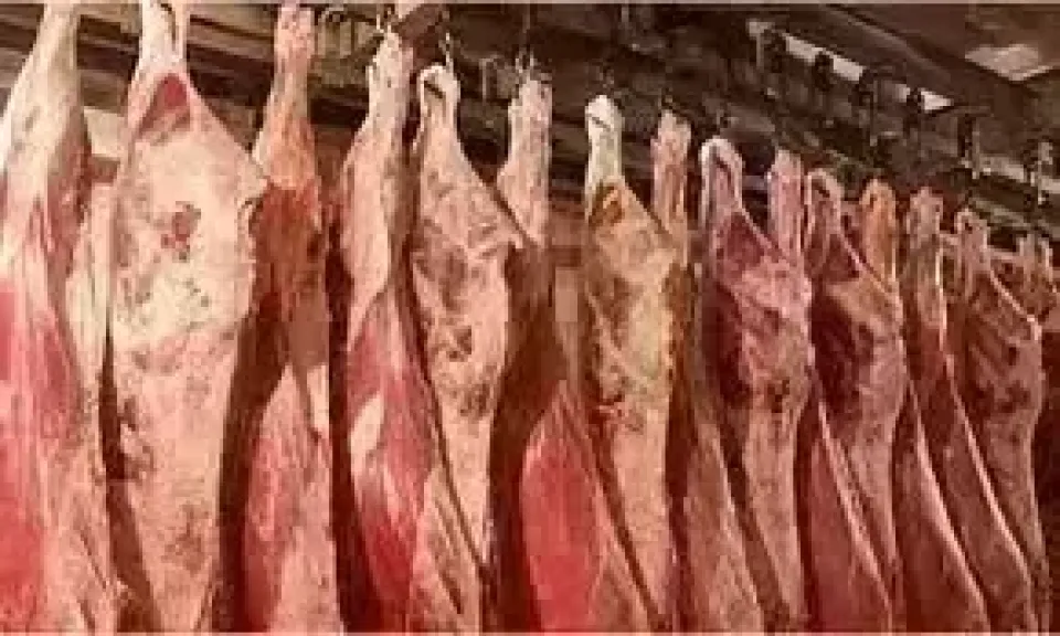 شعبة القصابين: انخفاض أسعار اللحوم 20%.. ونشكر الدولة على دعمها صغار المربين