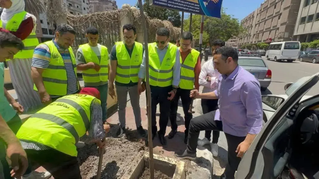 زراعة 60 شجرة بونسيانالكورنيش بحر مويس بمدينة الزقازيق