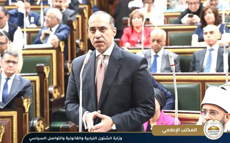 المستشار محمود فوزى