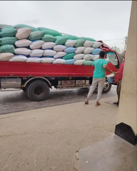 تحزين القمح