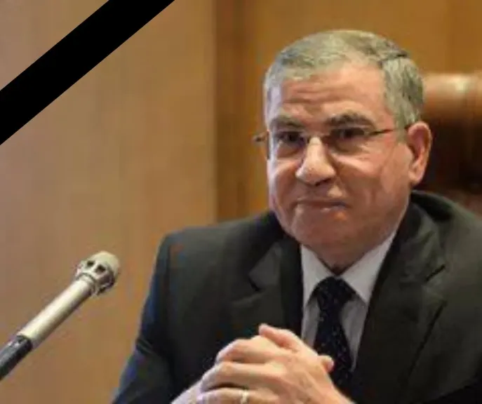 علي مصيلحي