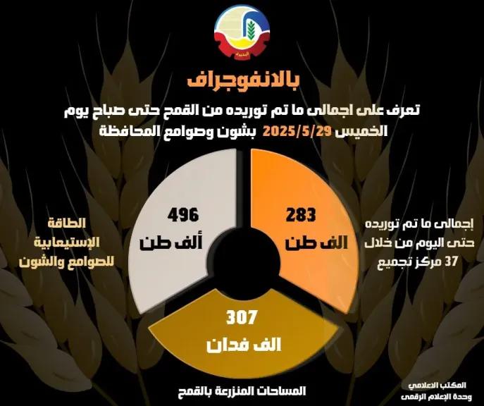 البحيرة تتجاوز 283 ألف طن قمح مورَّد للشون والصوامع مؤشرات التوريد تتجه نحو الارتفاع