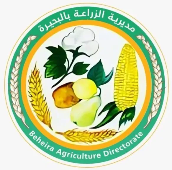 زراعة البحيرة تكرم 4 مهندسين زراعيين لتفوقهم فى العمل خلال شهر مايو