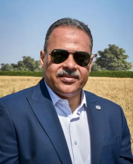 إرتفاع الكميات الموردة من القمح للتخزين  بمحافظة الشرقية
