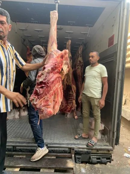 التموين: ضخ من 170 الي 200 عجل يوميا في المنافذ الإستهلاكية التابعة ضمن استعدادات موسم عيد الأضحى