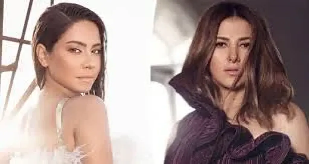 20 سنة على طرحها.. كيف انتقلت أغنية ”على بالى” من دنيا سمير لـ شيرين عبد الوهاب؟