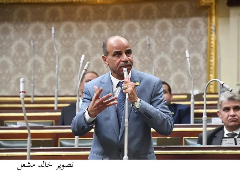 النائب هشام الشعينى : الصحة ومحافظة قنا تعاملتا باحترافية عالمية مع حالة الولادة لمصابة الإيدز بمستشفى قنا العام