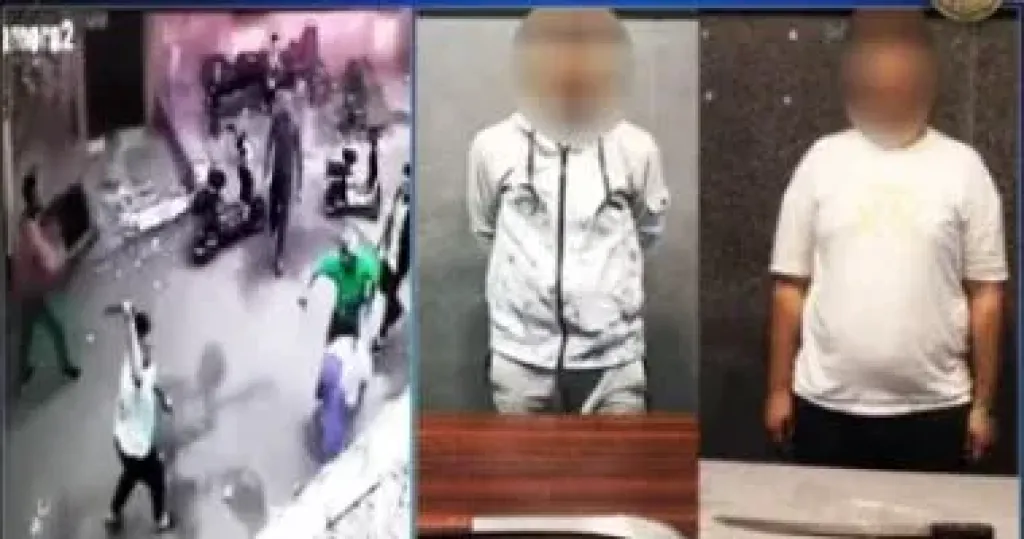 ضبط شخصين لتعديهما على سيدة وابنها بالأسلحة البيضاء فى المطرية.. فيديو