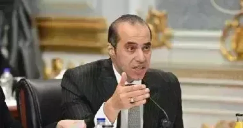 المستشار محمود فوزي: مشاركة المواطن في الانتخابات حق وواجب وطني