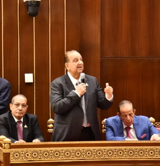 دعبس يطالب بهيئة مستقلة للاقتصاد الأزرق وتوحيد رسوم الموانئ خلال مناقشات البيئة بمجلس الشيوخ