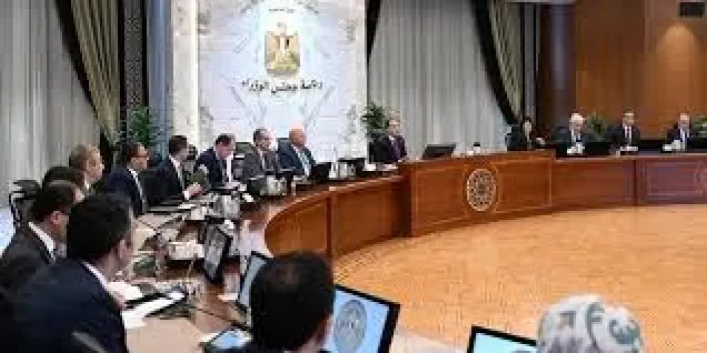 وزيرة التخطيط تكشف أبرز محاور ميثاق الشركات الناشئة المقرر إطلاقه قريبًا