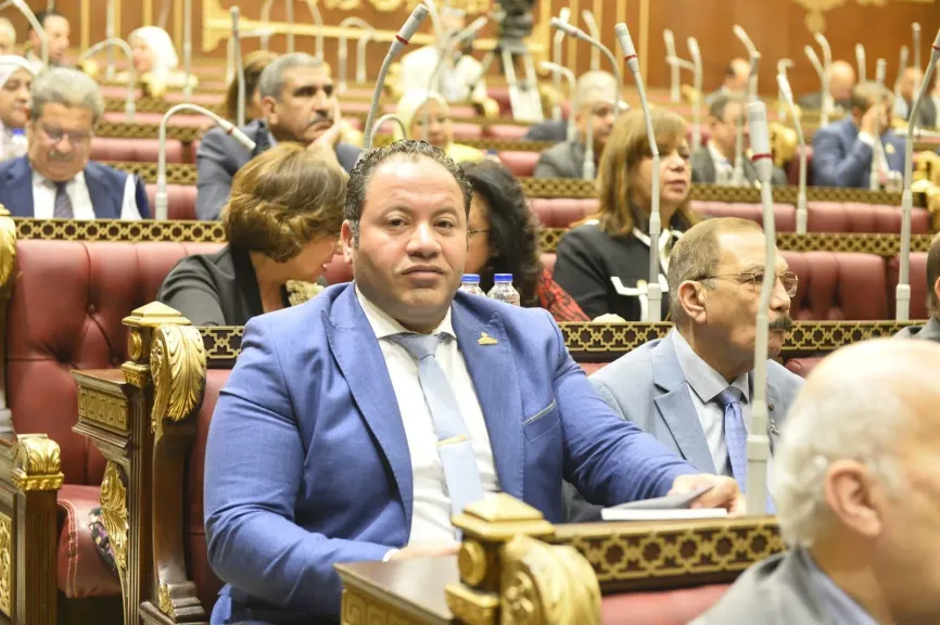 النائب مصطفى سالمان يطالب بخطة توعوية للمواطنين بخطورة التصحر وكيفية ترشيد المياه