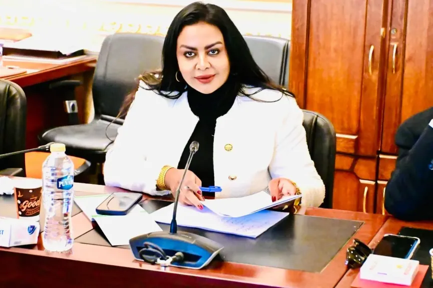 النائبة نيفين حمدي تهنئ الرئيس السيسي وشعوب الأمتين العربية والإسلامية بحلول عيد الأضحي المبارك