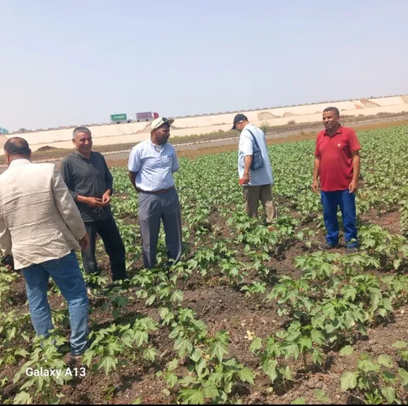 زراعة الشرقية:مكافحة الآفات بالمحاصيل الزراعية وتنقية الحيازات المسجلة
