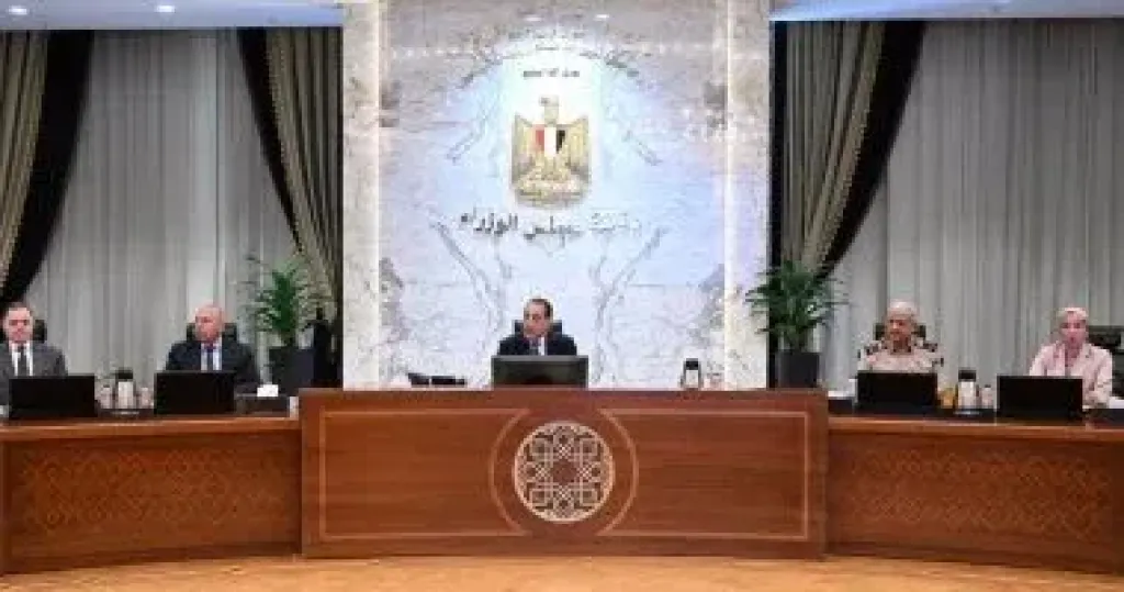 قرار جديد من مجلس الوزراء بشأن تعريفة التغذية الكهربائية لمشروعات توليد الطاقة