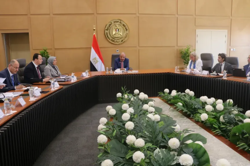 وزير الكهرباء يبحث مع وفد المفوضية الأوروبية تعزيز التعاون في مجالات الطاقة المتجددة