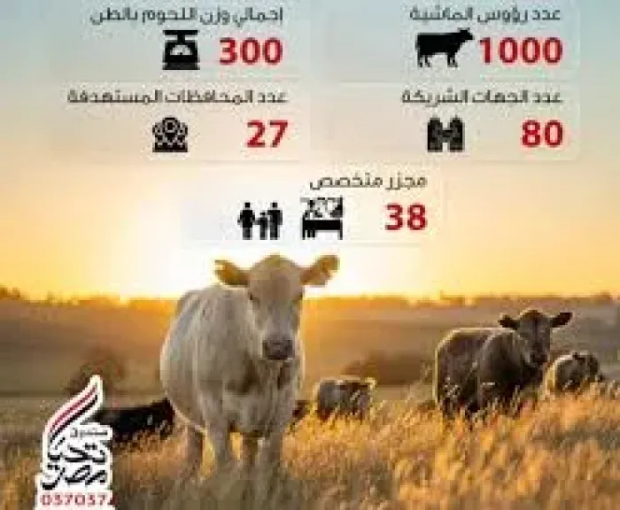 صندوق تحيا مصر: توزيع لحوم الأضاحى على 1.5 مليون مستفيد من الأولى بالرعاية