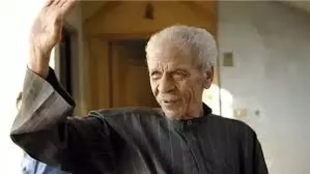 نوارة نجم تكشف تفاصيل شكواها للمجلس الأعلى للإعلام