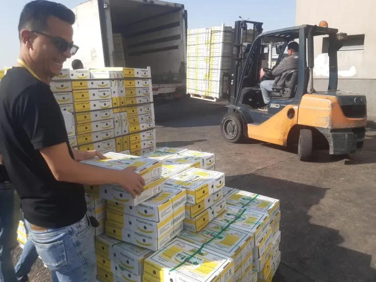 الزراعة: استمرار فحص الصادرات والواردات الزراعية خلال إجازة العيد