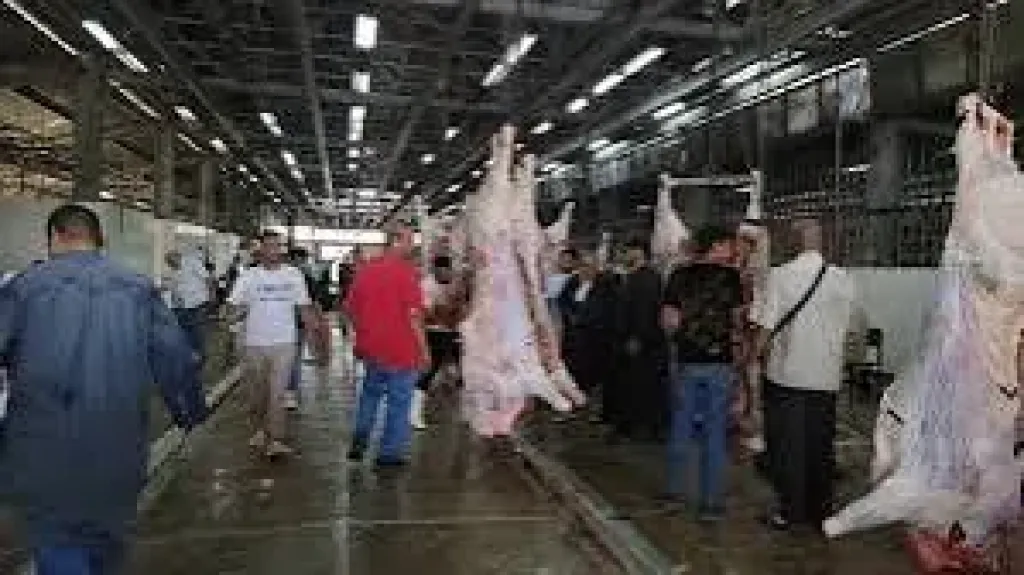 مجزر البساتين يفتح 5 صالات لاستقبال أضاحى المواطنين مجانا بالقاهرة