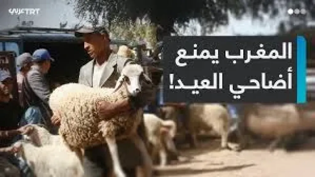 بعد منع ذبح الأضاحى.. مهن موسمية تغيب عن المغرب فى عيد الأضحى