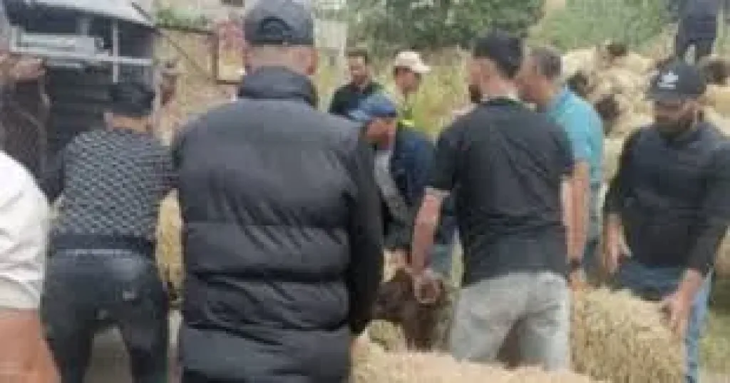 هدم مزرعة مواشى ومصادرة 10 خراف.. المغرب يلاحق ذبح الأضاحى ”اعرف السبب”