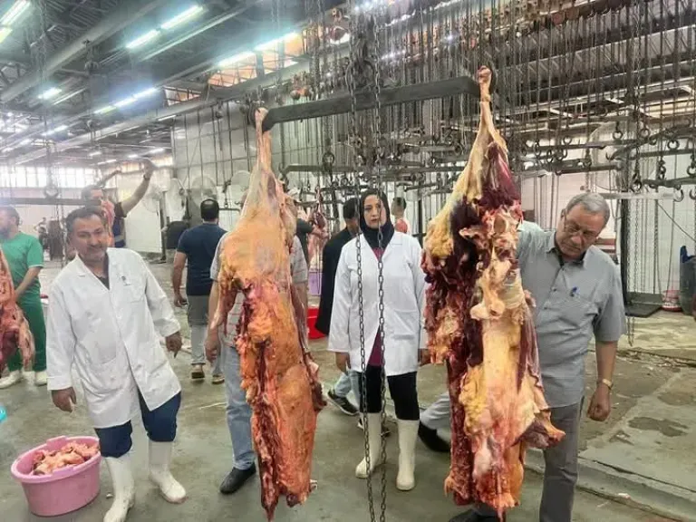 المجازر الحكومية تستقبل أكثر من 9800 أضحية خلال أول أيام العيد