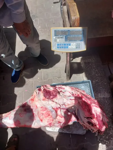 محافظ أسيوط يعلن ضبط لحوم مذبوحة خارج المجازر الحكومية
