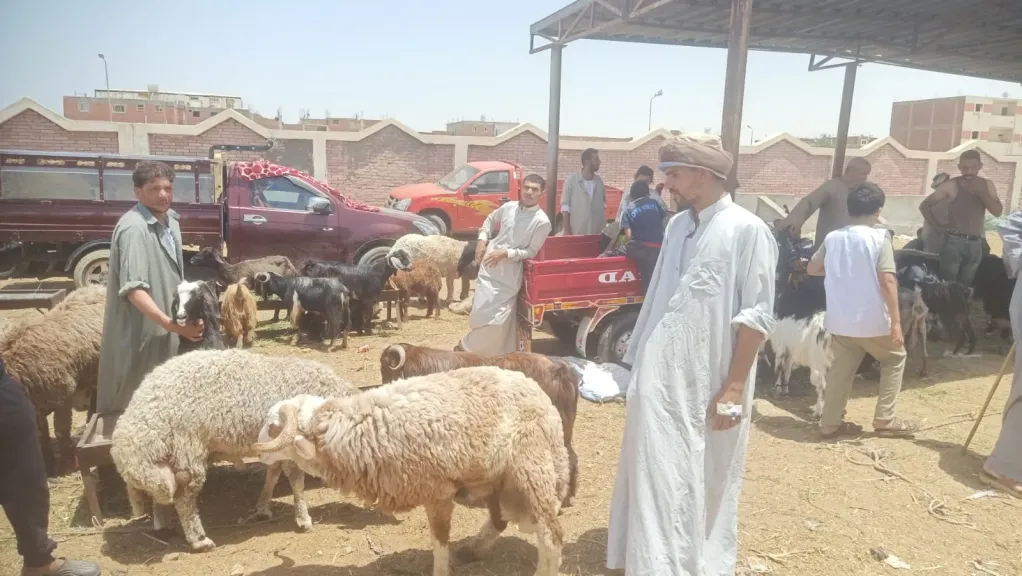 وزير الزراعة يتابع أعمال لجان المرور على شوادر وأماكن بيع الأضاحي وجهود توعية المواطنين