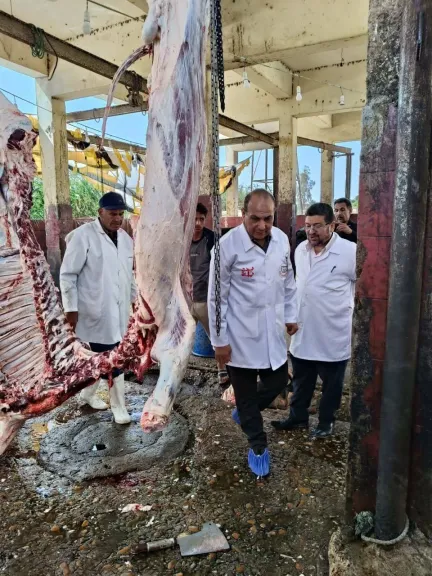 بيطرى الشرقية :ذبح ١١٢٩أضحية بالمجان فى أول أيام عيد الأضحي