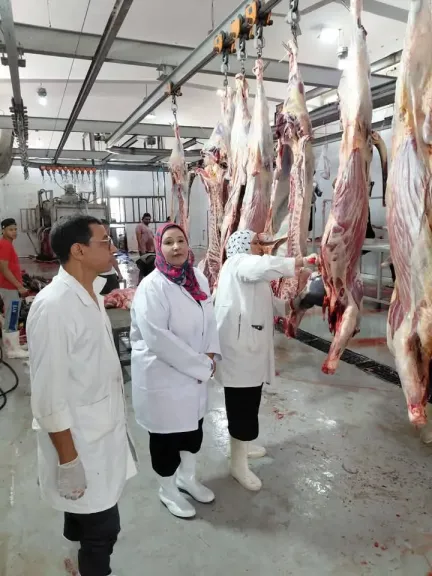”الزراعة”: ذبح أكثر من 20 ألف أضحية بالمجازر الحكومية خلال أول يومين لعيد الأضحى المبارك