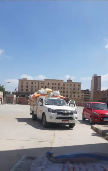 استمرار تدفق الأقماح المحلية لشون وصوامع محافظة الشرقية