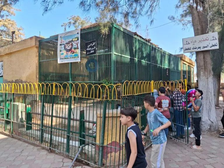 ”الزراعة”: حدائق الحيوان الإقليمية والأسماك بالزمالك استقبلت أكثر من 38 ألف زائر خلال أول يومين للعيد