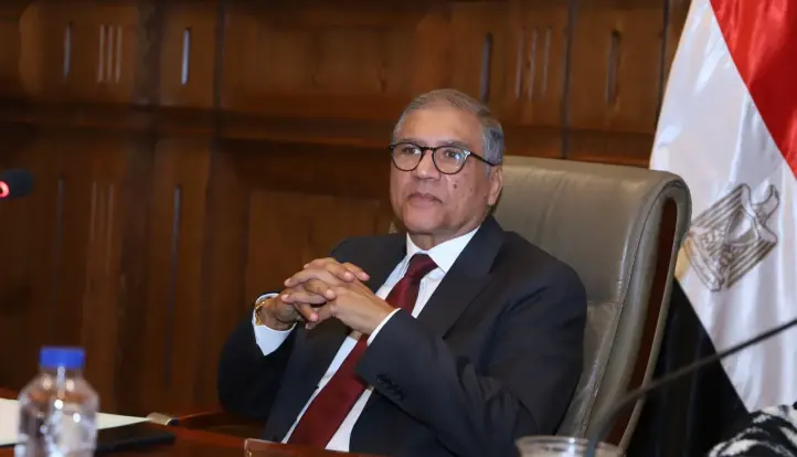 حزب السادات: الإخوان يقودون حربًا رقمية فاشلة