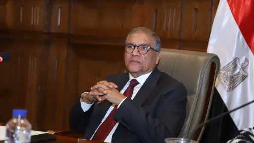 حزب السادات: الإخوان يقودون حربًا رقمية فاشلة